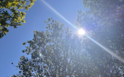 What am I grateful for today?