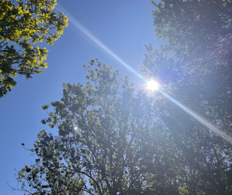 What am I grateful for today?