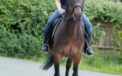 Confidence Grows at the Edges of Your Comfort Zone