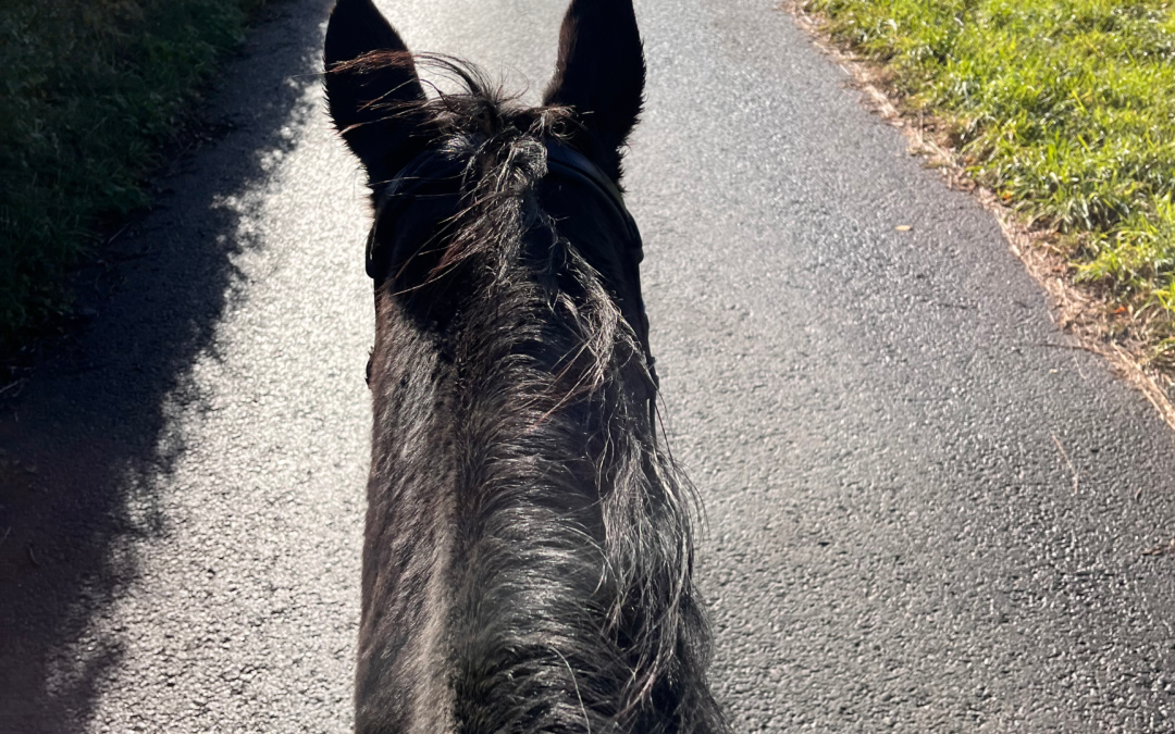 When Things Don’t Go According To Plan…..