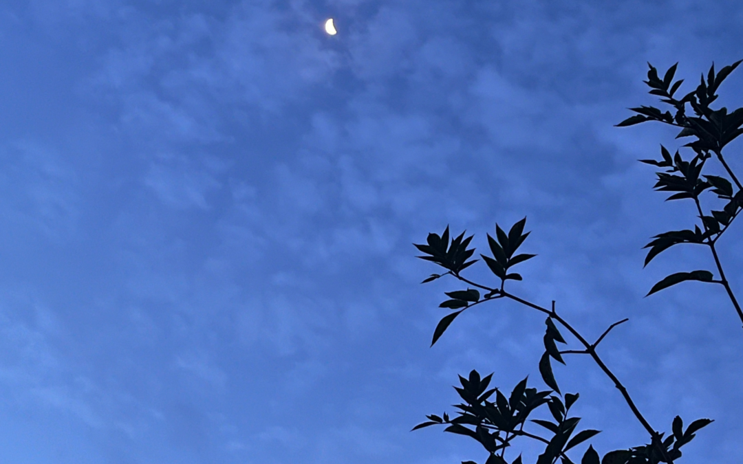 The Power of an Unexpected Reset