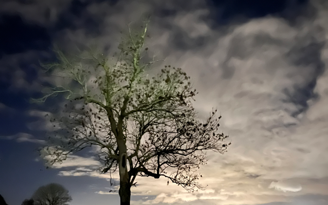 Why Rest Isn’t A Waste Of Time