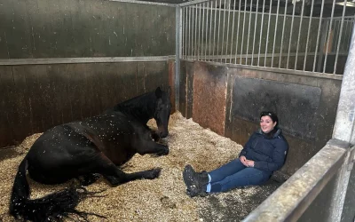 Connection: the foundation for you, your horse, and your nervous system